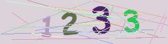 CAPTCHA validation image