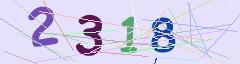 CAPTCHA validation image