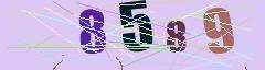 CAPTCHA validation image