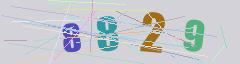 CAPTCHA validation image