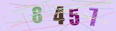 CAPTCHA validation image