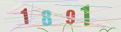 CAPTCHA validation image