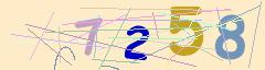 CAPTCHA validation image