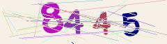 CAPTCHA validation image