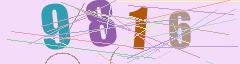 CAPTCHA validation image