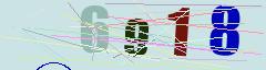 CAPTCHA validation image
