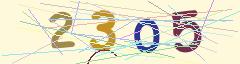 CAPTCHA validation image