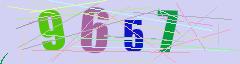 CAPTCHA validation image