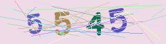 CAPTCHA validation image