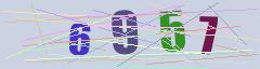 CAPTCHA validation image