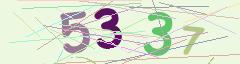 CAPTCHA validation image