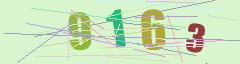 CAPTCHA validation image