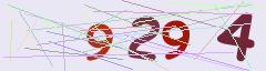 CAPTCHA validation image