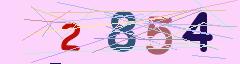 CAPTCHA validation image