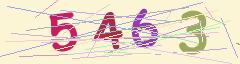 CAPTCHA validation image