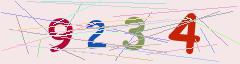 CAPTCHA validation image