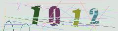 CAPTCHA validation image