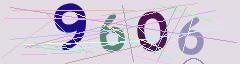 CAPTCHA validation image