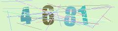 CAPTCHA validation image