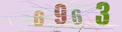 CAPTCHA validation image