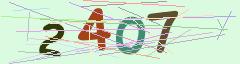 CAPTCHA validation image