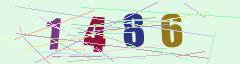 CAPTCHA validation image