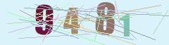 CAPTCHA validation image