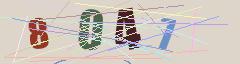 CAPTCHA validation image