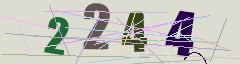 CAPTCHA validation image