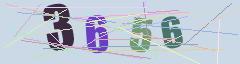 CAPTCHA validation image