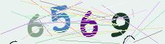 CAPTCHA validation image