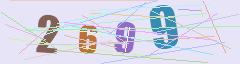 CAPTCHA validation image