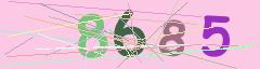 CAPTCHA validation image