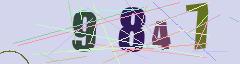 CAPTCHA validation image
