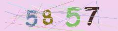 CAPTCHA validation image