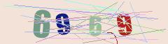 CAPTCHA validation image