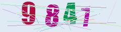CAPTCHA validation image