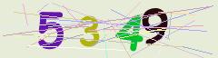 CAPTCHA validation image
