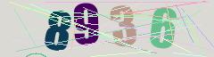 CAPTCHA validation image