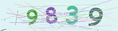 CAPTCHA validation image
