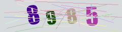 CAPTCHA validation image
