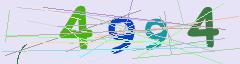 CAPTCHA validation image