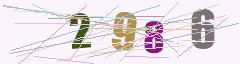 CAPTCHA validation image