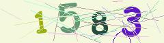 CAPTCHA validation image