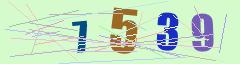 CAPTCHA validation image