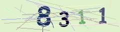 CAPTCHA validation image