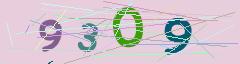 CAPTCHA validation image