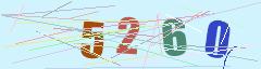 CAPTCHA validation image