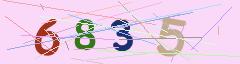 CAPTCHA validation image