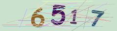CAPTCHA validation image